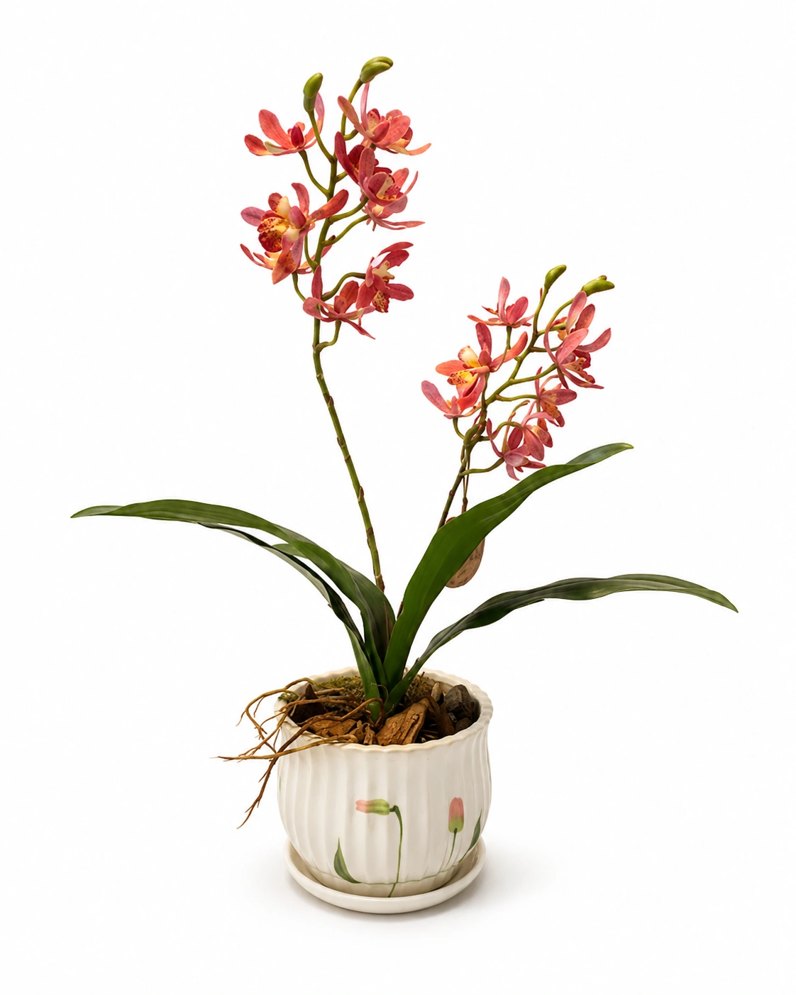 Arranjo de Orquídea Rosa de Haste Dupla - Vaso de Cerâmica com Detalhe de Tulipas 5