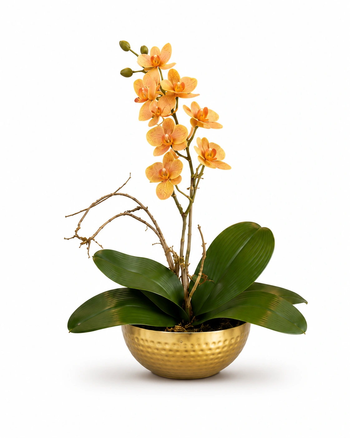 Arranjo de Orquídea Coral para Lavabo - Vaso Tipo Bowl Dourado Texturizado 5
