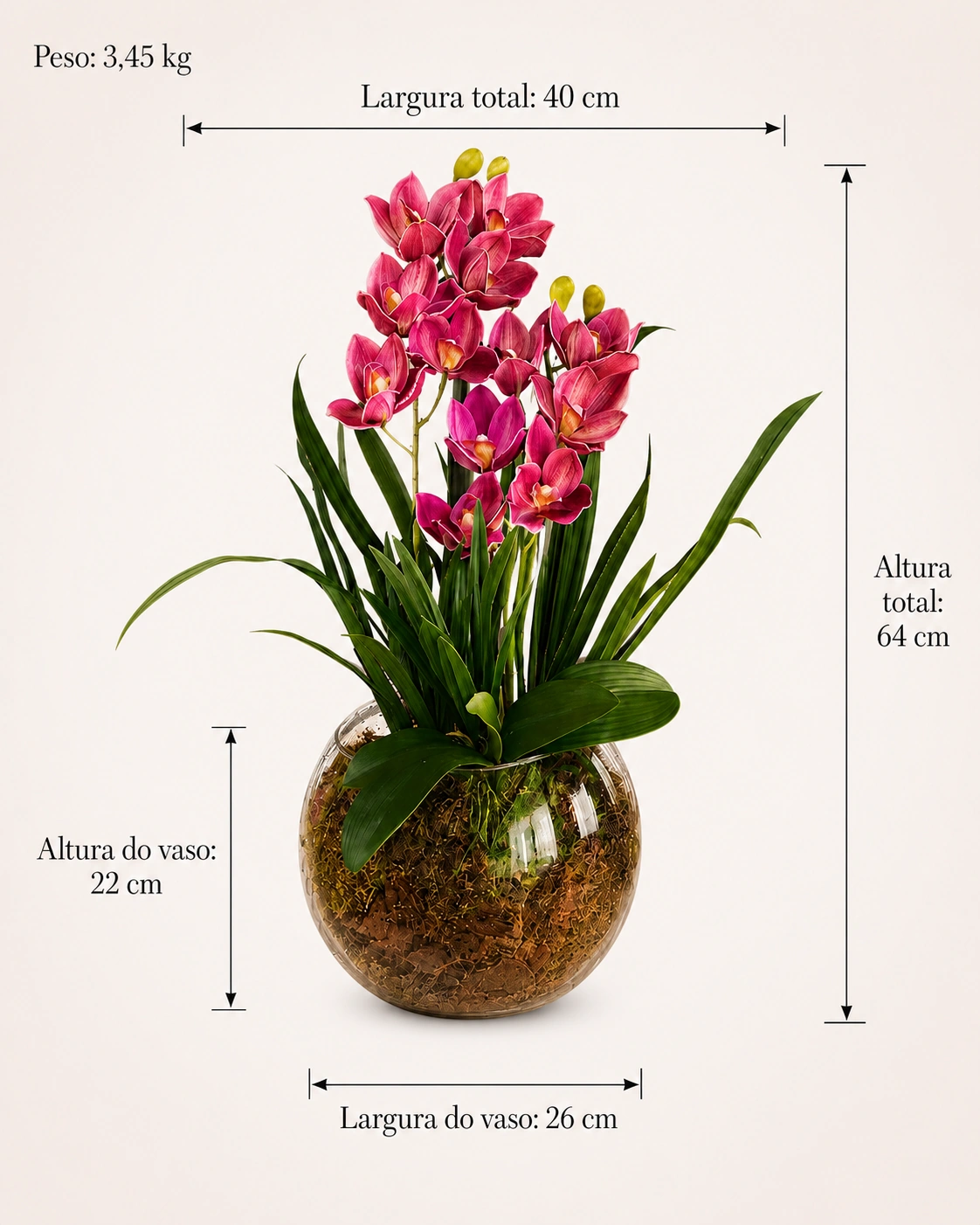 Arranjo de Orquídeas Pink em Vaso de Vidro Redondo com Musgo 6