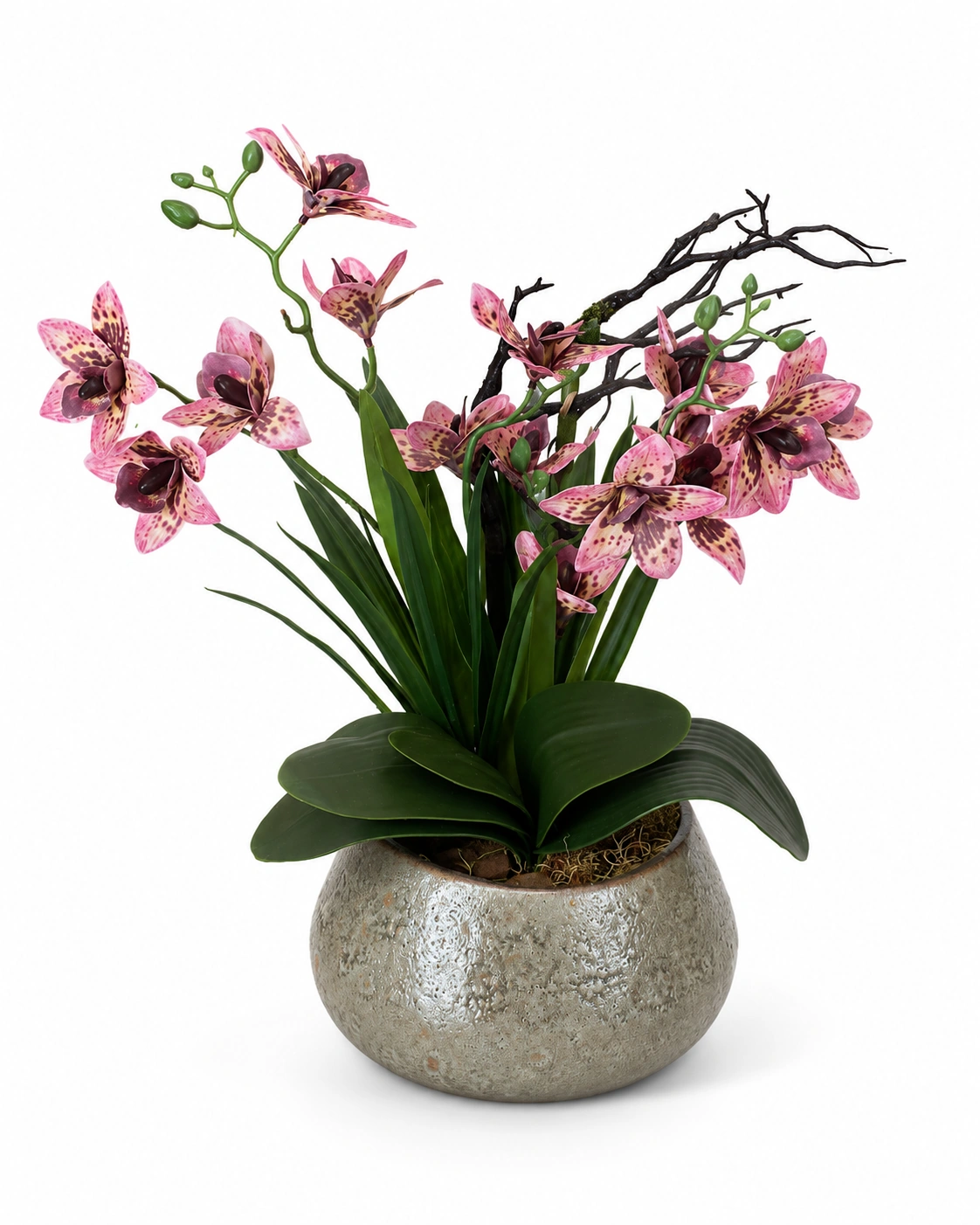 Arranjo de Orquídeas Rosadas Pintadas em Vaso Champagne Texturizado 4