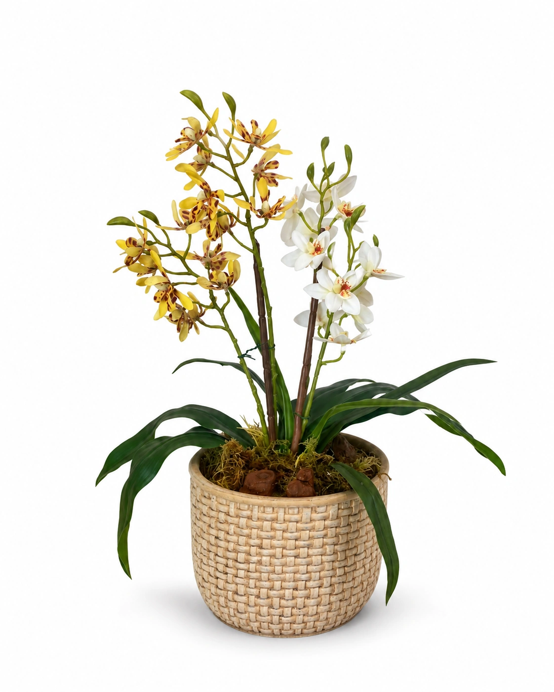 Arranjo de orquídeas amarelas e brancas em vaso bege texturizado