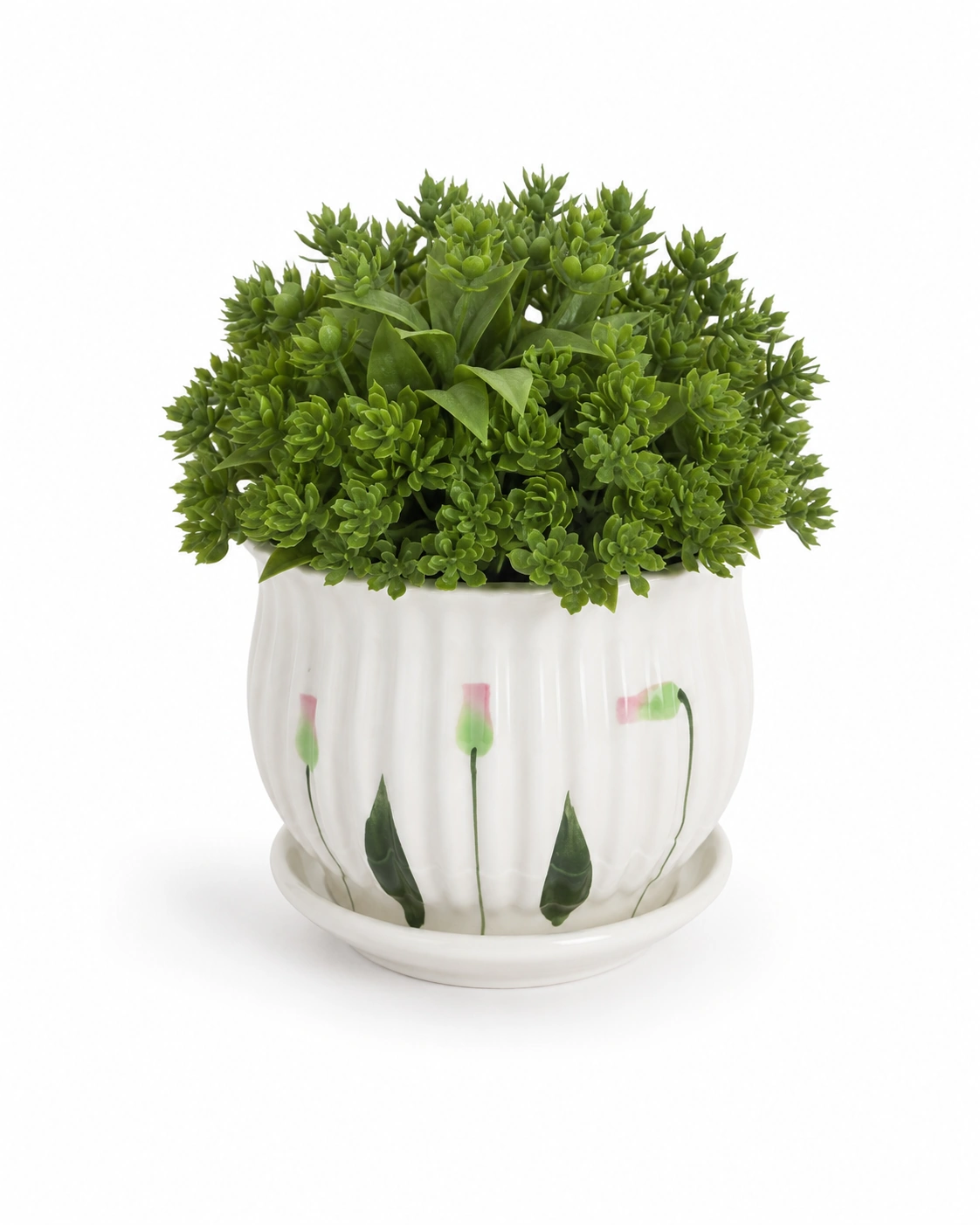 Arranjo de Suculentas Verdes em Vaso Floral Casa Feliz 5